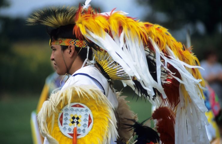 The American indigenous population