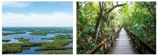 Everglades National Park (World Heritage)