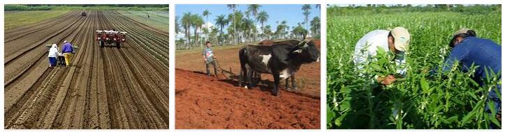 Paraguay agriculture